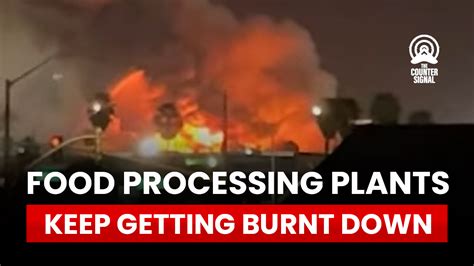 As of 2017, the USDA [had] counted nearly 36,500 <b>food</b> <b>processing</b> facilities across the United States, or an average of 728 per state. . How many food processing plants have burned down